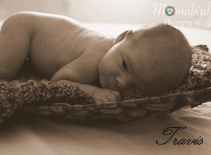 Paradise Valley Newborn Photographer